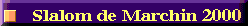 slamac00.gif