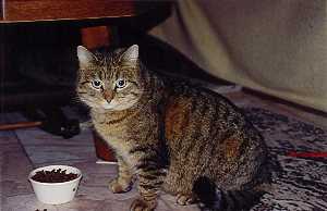 cleo02.jpg (9173 octets)